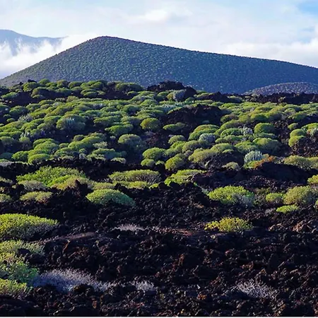 Live Cerca Del Mar *