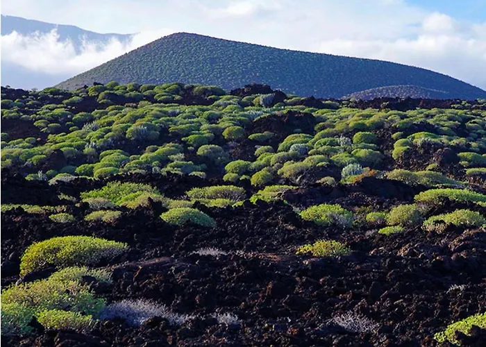 Live Cerca Del Mar *